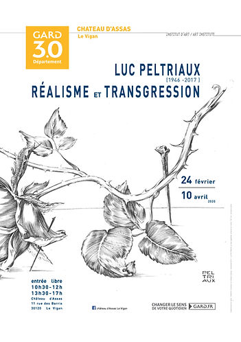 Exposition Luc Peltriaux 2020, Réalisme et transgression , Le Vigan (30)