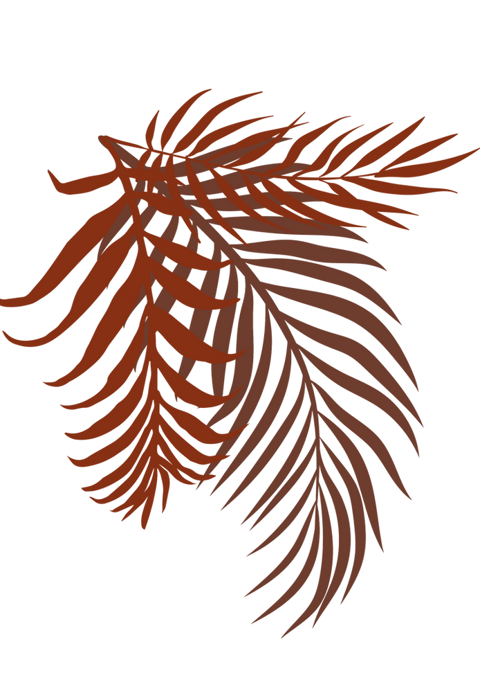 SERUM AU LAIT D'ANESSE(10)_edited.png