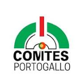 COMITES PORTOGALLO ASSEMBLEA PLENARIA https://www.italianiallestero.tv/post/comites-portogallo-assemblea-plenaria