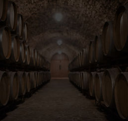 Capture d’écran 2025-09-23 à 11_edited.j