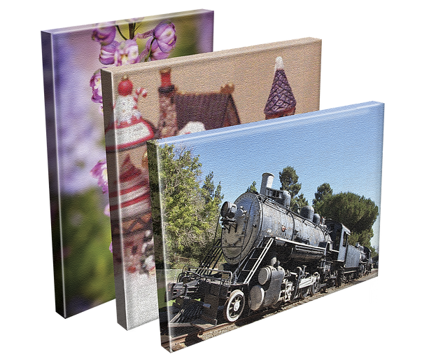 Multiple stretched canvas prints, standing upright, showing a variety of photo scenes.