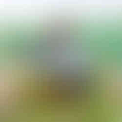 【蔥滿笑容】食農知味--蔥明玩|農村體驗之旅 - 松風文旅