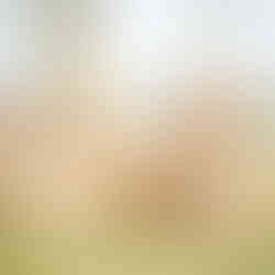 【蔥滿笑容】食農知味--蔥明玩|農村體驗之旅 - 松風文旅