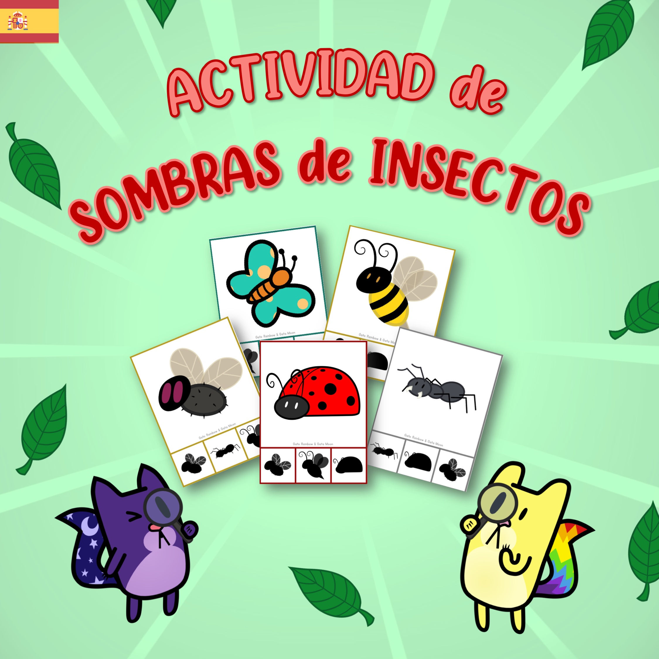 Actividad de sombras de INSECTOS