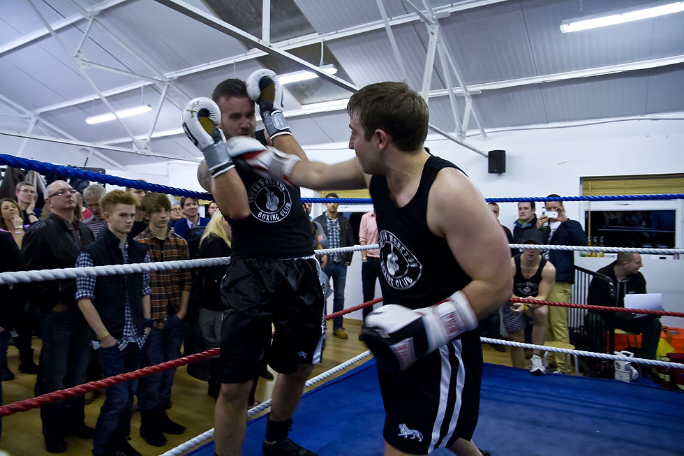 Rumble X 2012