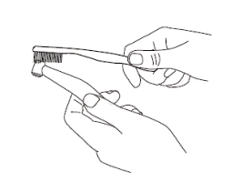 ניקוי מעברי המים בעזרת מברשת שיניים לחה