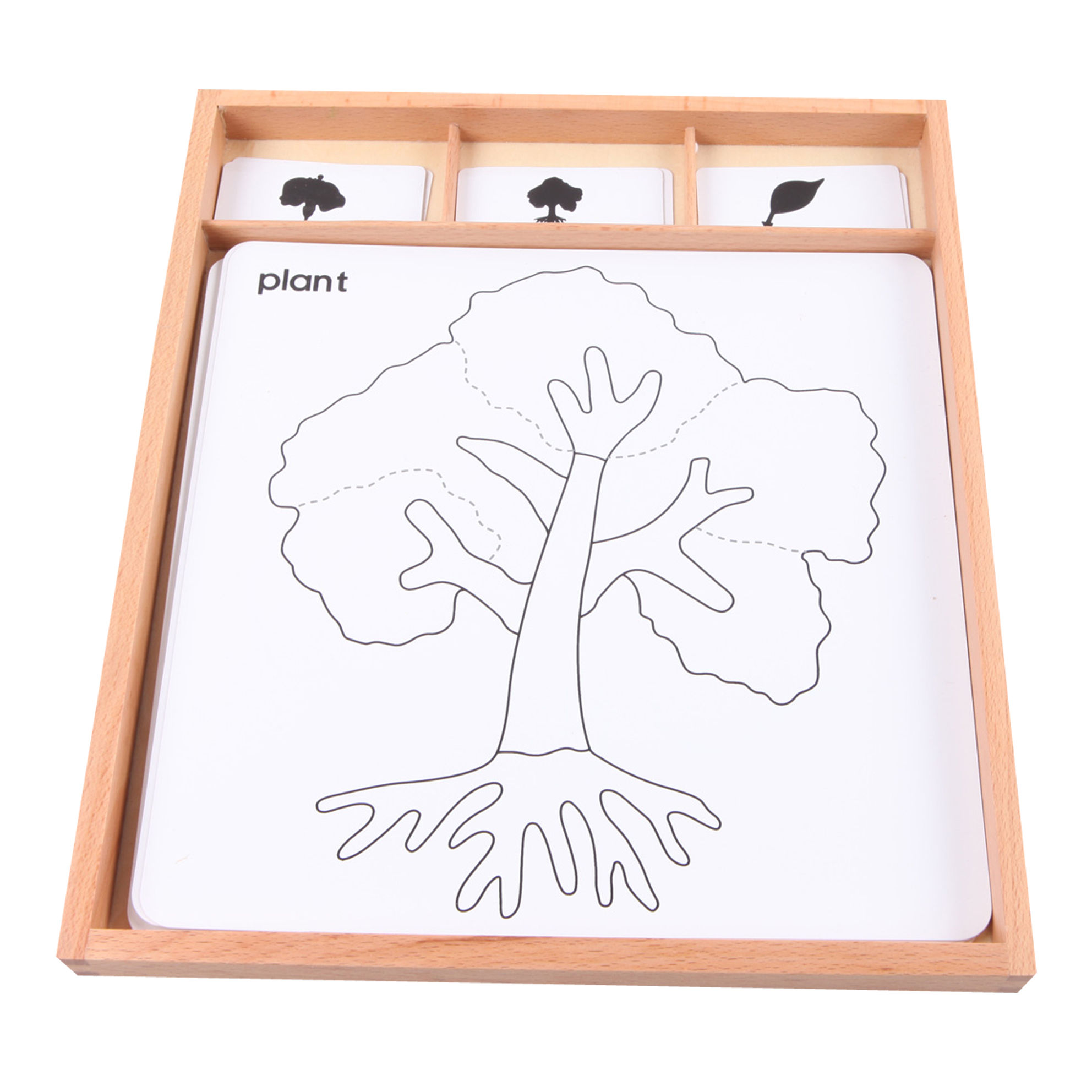 Botany Stencil Set - Leaf, Flower, and Root Systems