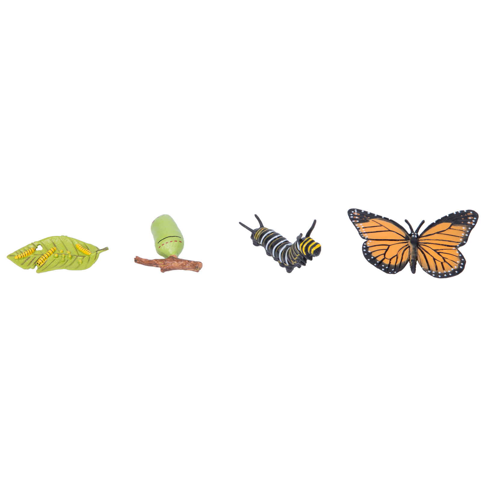Butterfly Life Cycle Objects