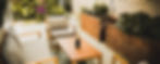 palm-landscapes-image-1.jpg