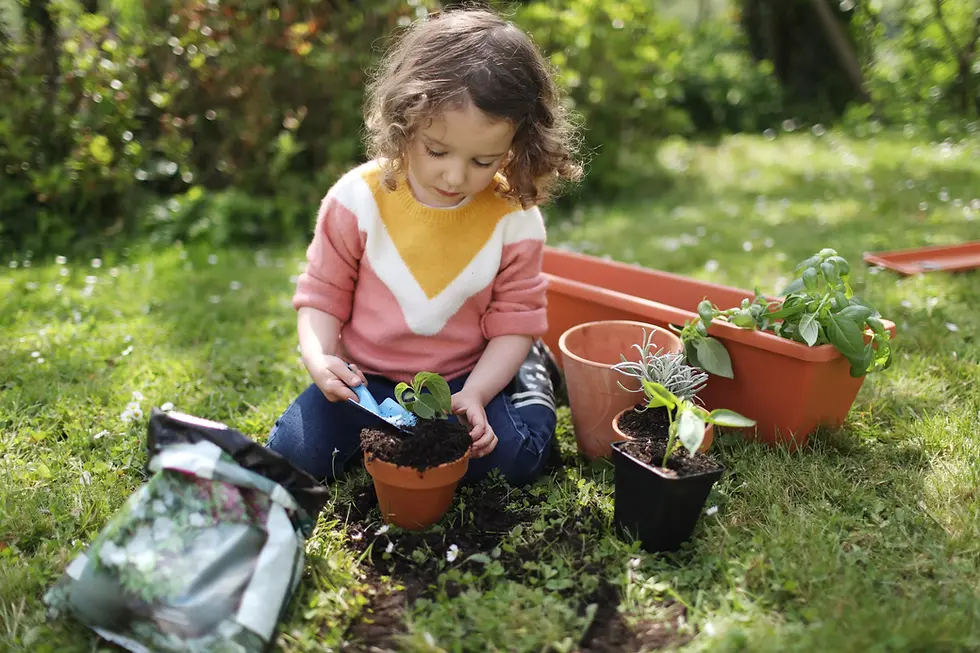 Criança brincando na grama, plantando e cultivando em um pequeno vaso.