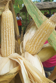 trip to masiag 140 - Copy.jpg