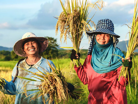 International Day of Seeds 2024: SEARICE calls for laws that recognize and strengthen farmers’ seed system
