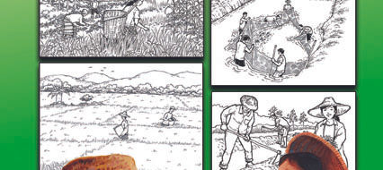 Facilitators’ Guide on Agroecology