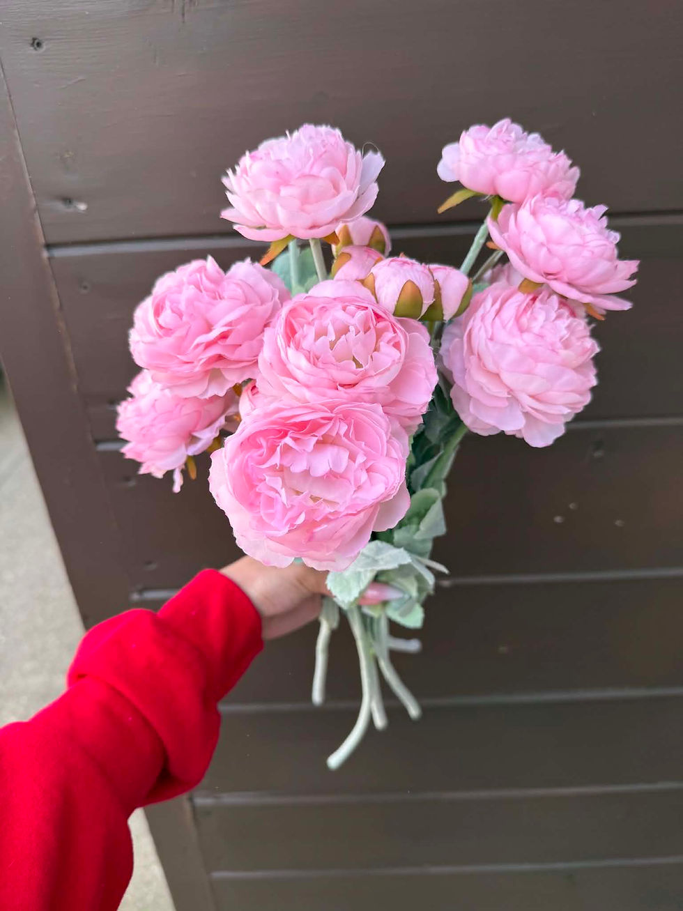 Pink Peonies