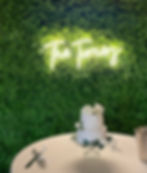 Greenery Wall Backdrop