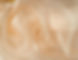 Organza Fabric