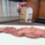 Balloon Backdrop with Spandex Covered Arches