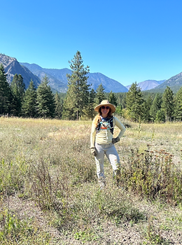 Weeds in Pasture Montana