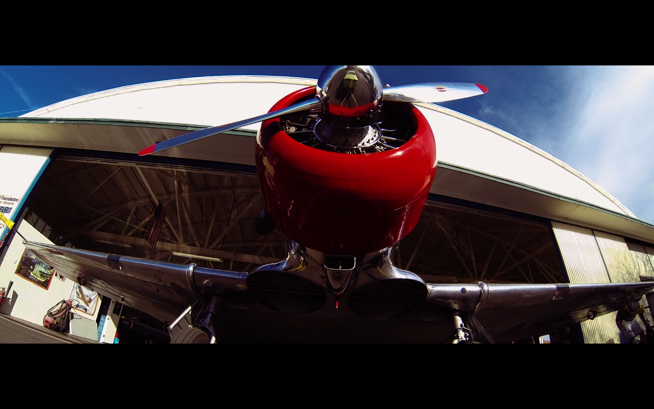 Wings of Flight Foundation