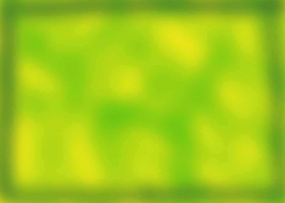 DS Rulebook copy.jpg