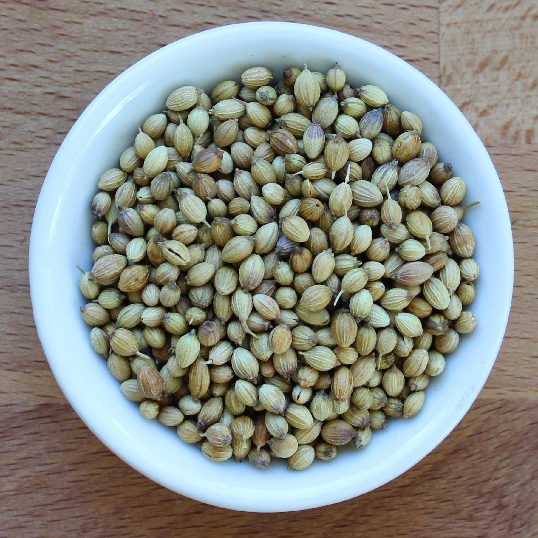 Coriander