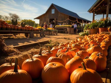 Welcoming Autumn with Acupuncture