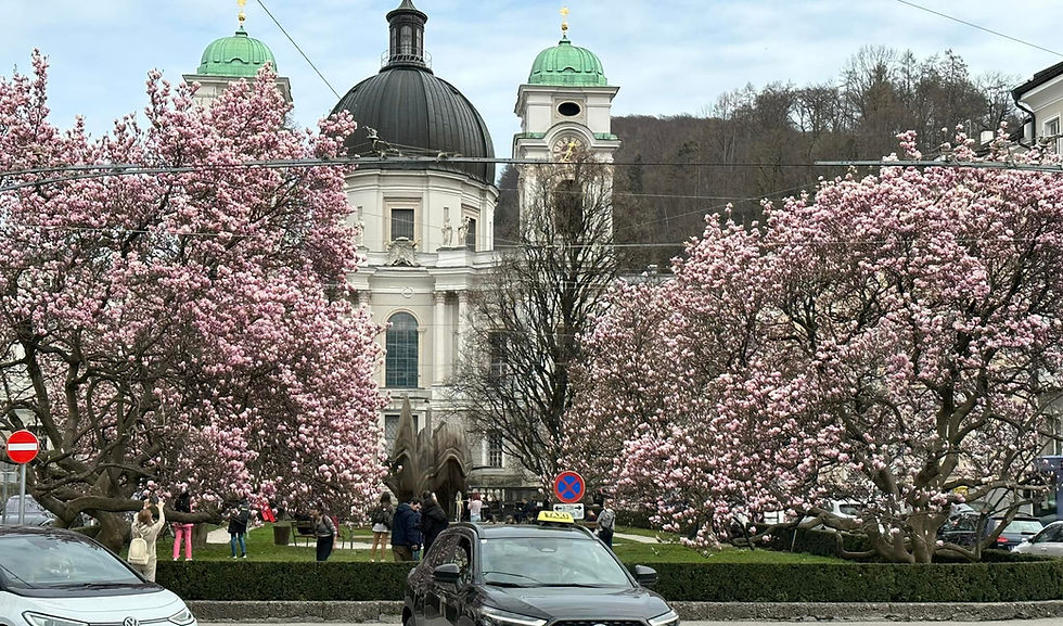 Faith-Based Travel: Walking Where Faith Comes Alive