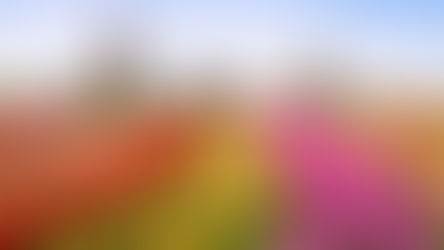 Amsterdam - A Multigenerational Wonderland For All Seasons