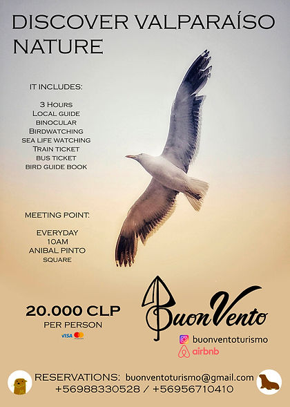 4 - AFICHE BIRDWATCHING.jpg