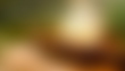 Lançamento Vol.10 Revista Canoa do Tempo