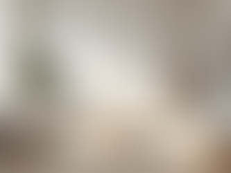 Reimagining the Art of Living Through Simplicity and Sophistication