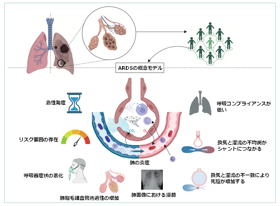 【V系】Kilah 「自閉的依存症候群」 V系】Kilah 「自閉的依存症候群」 V系】Kilah 「自閉的依存症候群」