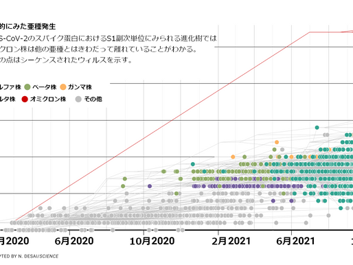 No.223 オミクロン株の問題点