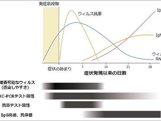 No.240 新型コロナウィルス感染症の迅速診断薬の問題点は？