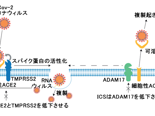 No.269 新型コロナウィルス感染症と吸入ステロイド薬の関係