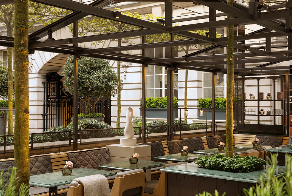 Ilona perczcyk, holborn dining room, chef, dining, chef profile, restaurants, hotel restaurants, 5'ELEVEN"