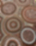 352212844_275255058211560_7558661359023616079_n.jpg