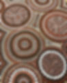 352212844_275255058211560_7558661359023616079_n.jpg