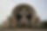 Imagen panorámica del Cerro Ventana