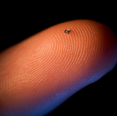 RFIDCHIP.jpg