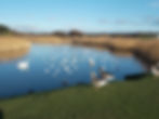 Lago en Arklow