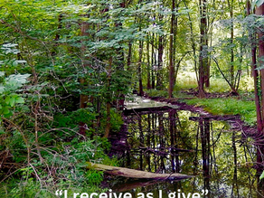 The Entitlement (Anti-Prosperity) Path