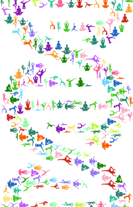 DNA Studio-Project.png