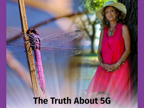 The Truth About 5G