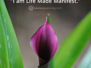 What is Life? (Originally Published 12/7/2022)