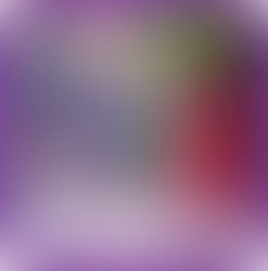 Catherine Wilcox in Coral Dress - Dragonfly (Purple)