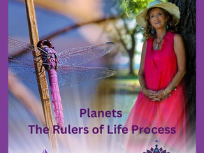 Catherine Wilcox in Coral Dress - Dragonfly (Purple)