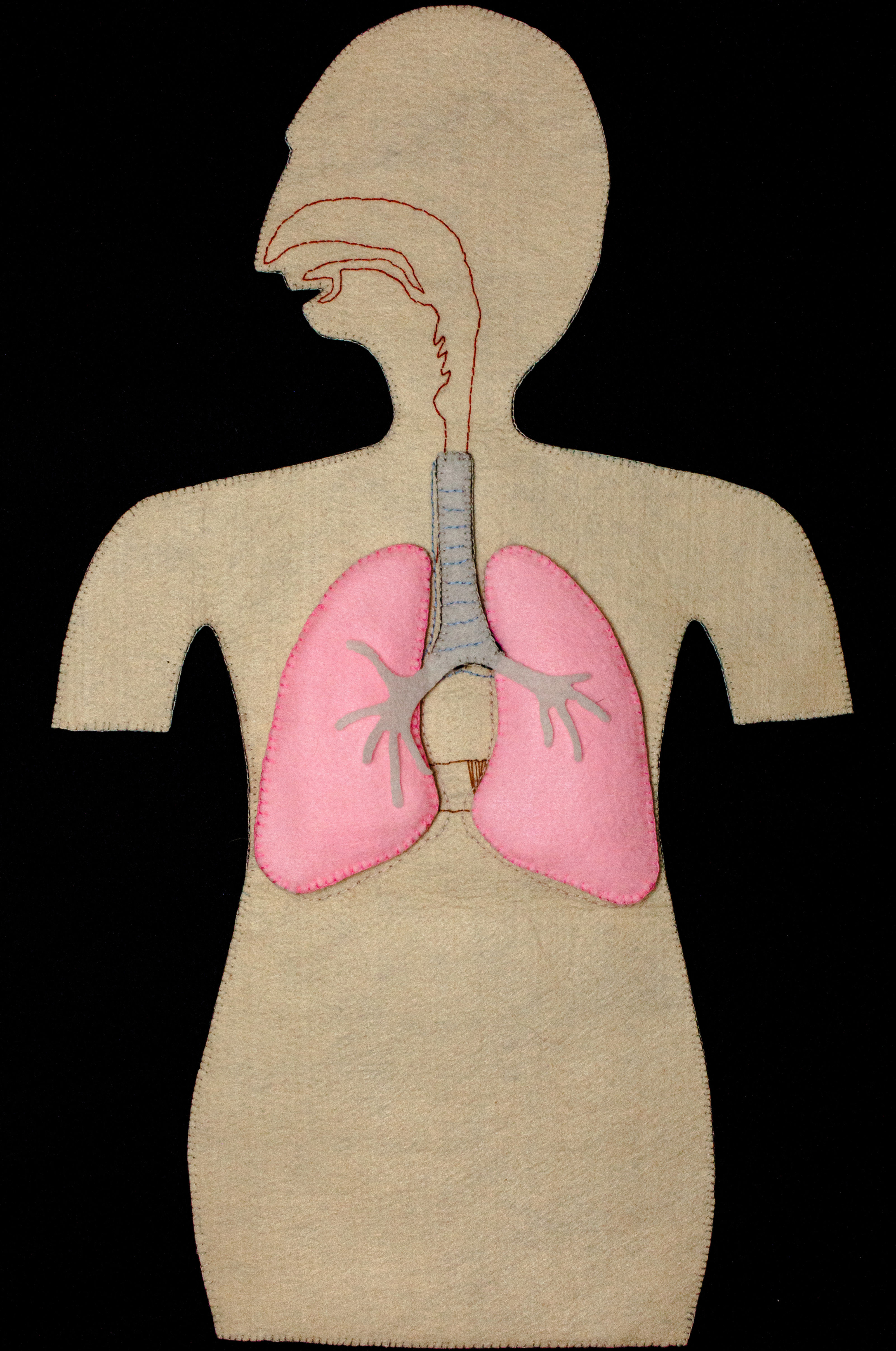 Respiratory System Felt Craft