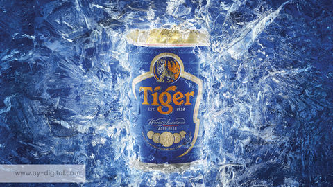 P_12_Tiger.jpg