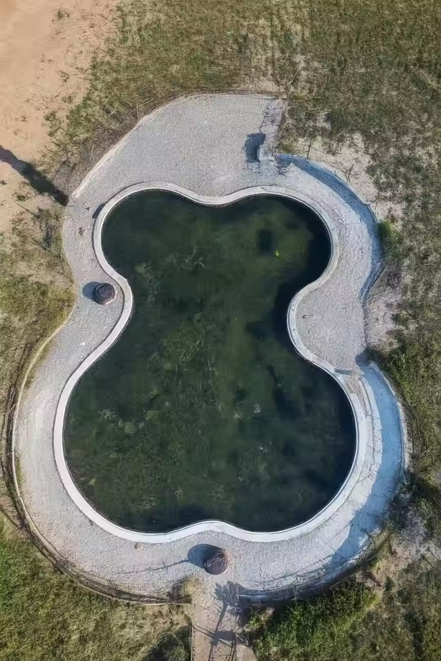 A Drone-View photo of the Bone-shaped pond & slightly of the Large Dog loop.